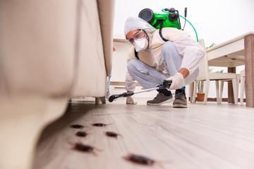 Things to keep in mind while choosing professional pest control service provider